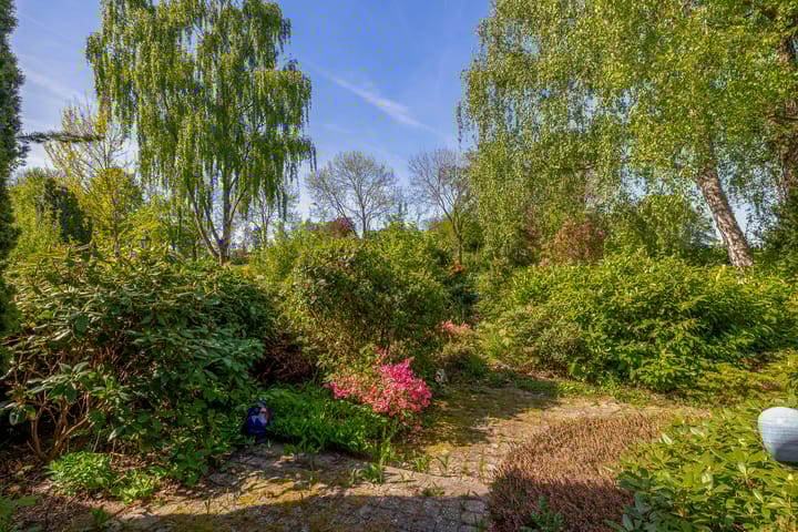 Foto 42 van Blijhamsterweg 86