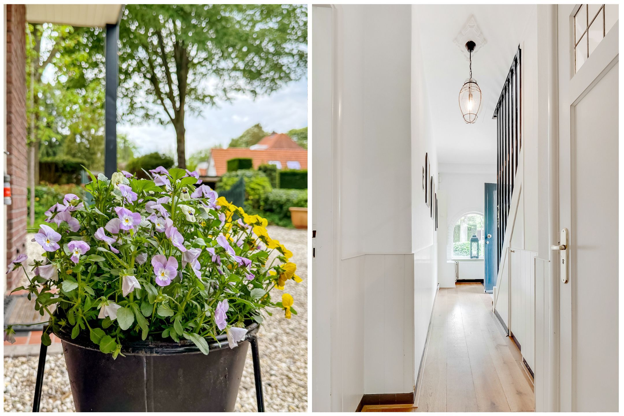 Photo 6 of Sparrenlaan 3