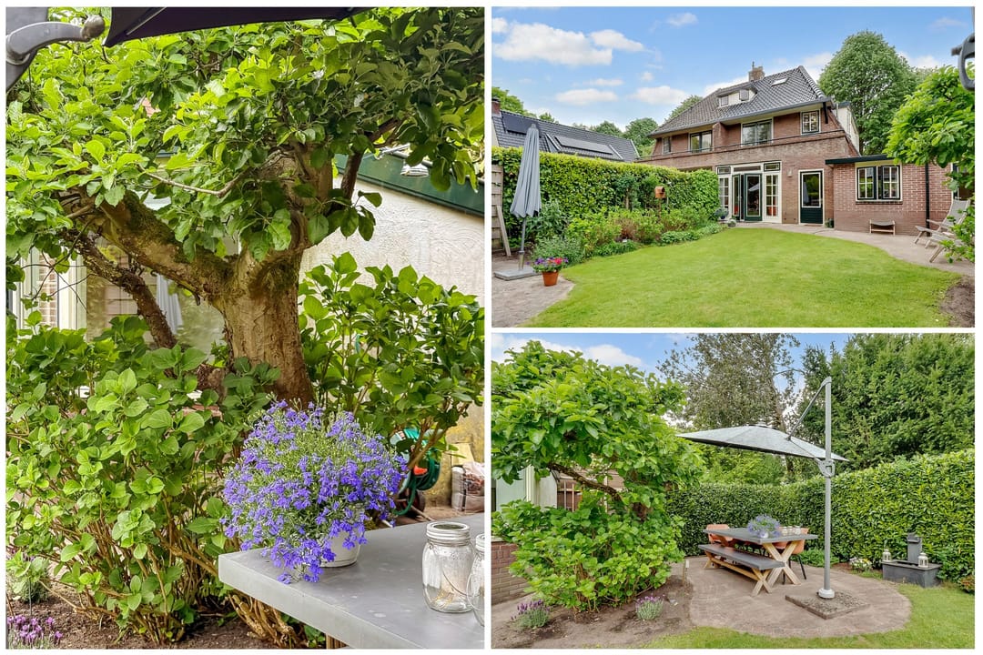 Photo 46 of Sparrenlaan 3