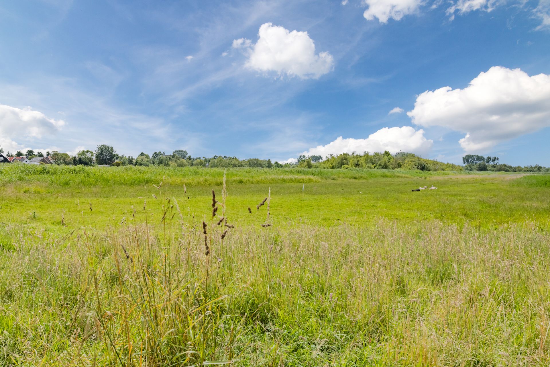 Foto 81 van Middel 94