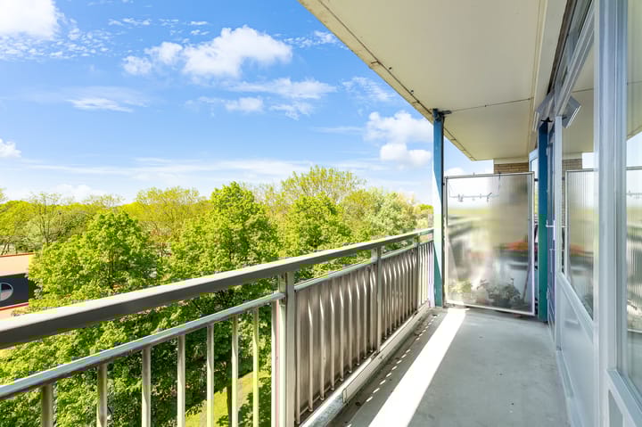 Foto 13 van Hobokenstraat 231