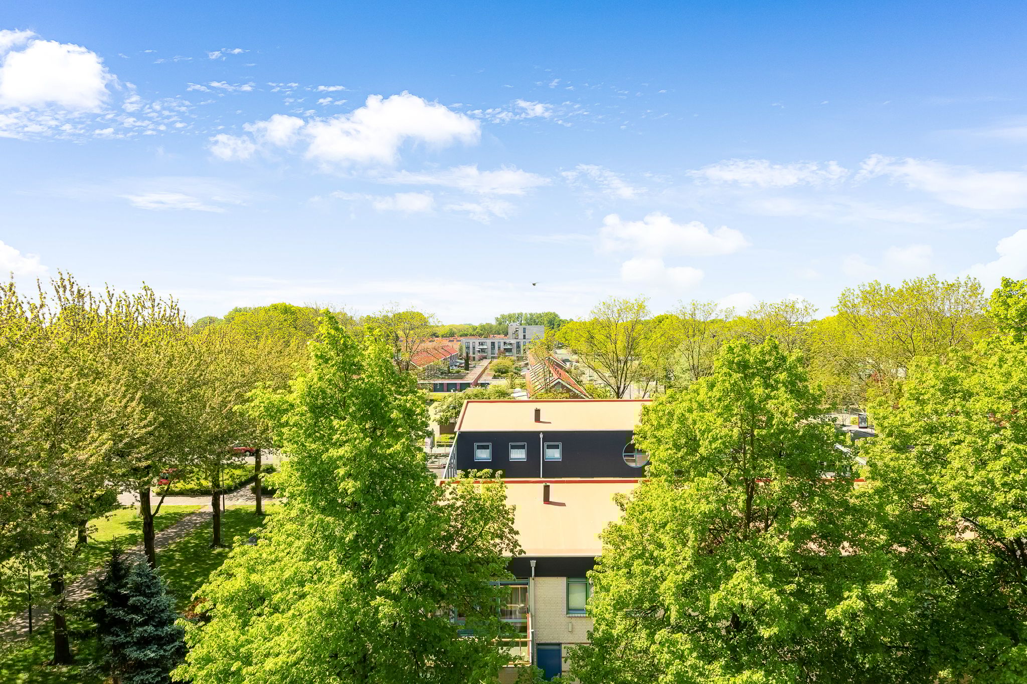 Foto 15 van Hobokenstraat 231