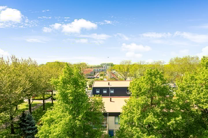 Foto 15 van Hobokenstraat 231