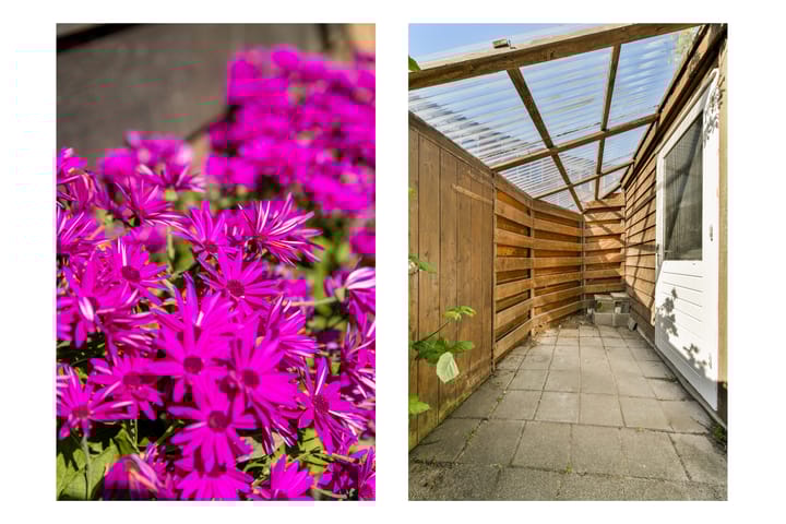 Foto 20 van Putterplantsoen 50