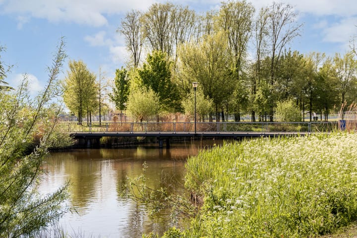 Foto 40 van Putterplantsoen 50