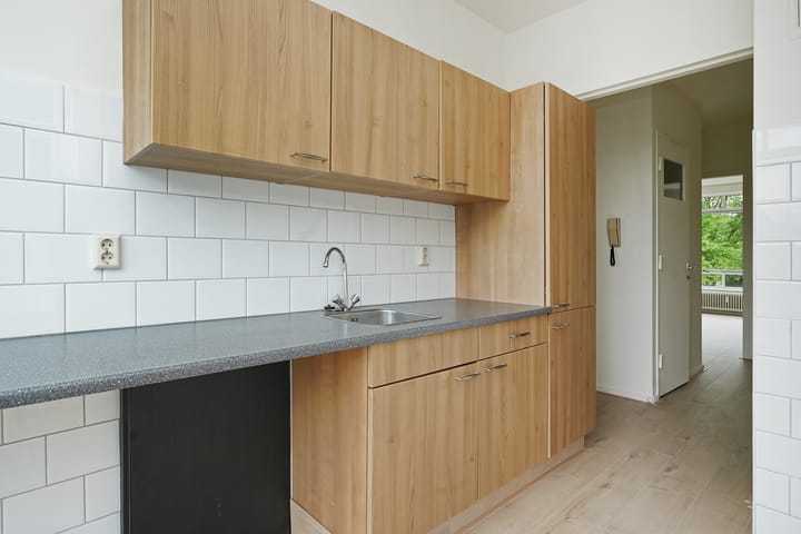 Foto 25 van Barnsteenhorst 380