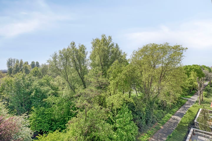 Foto 24 van Sportlaan 920