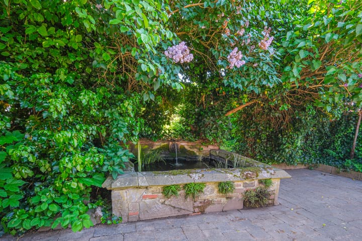 Foto 37 van Passtraat 4