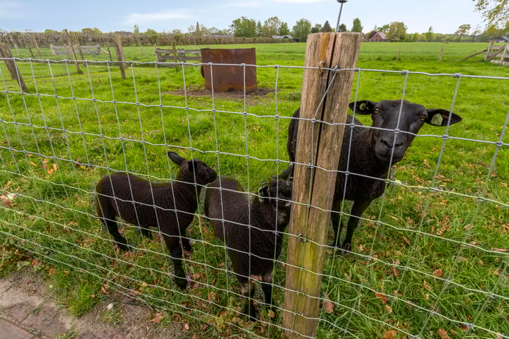 Foto 39 van Laarweg 16