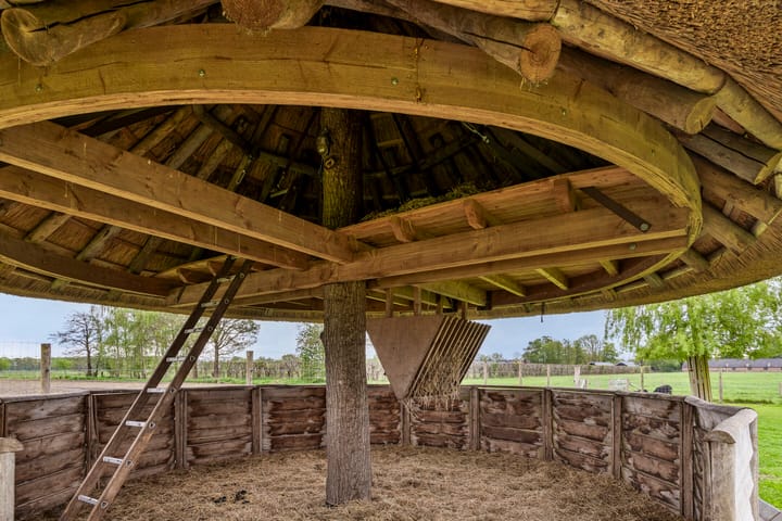 Foto 47 van Laarweg 16