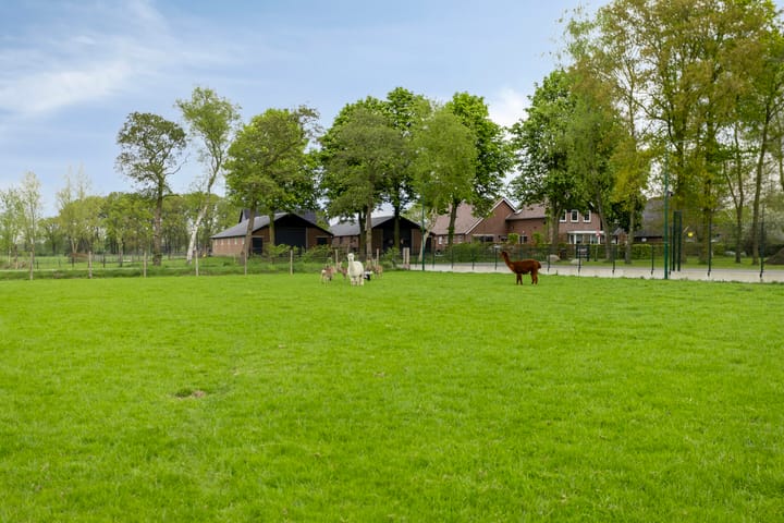 Foto 50 van Laarweg 16