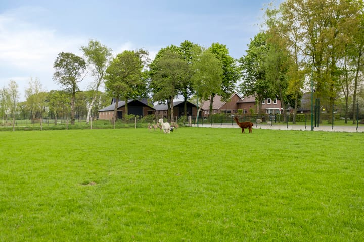 Foto 51 van Laarweg 16