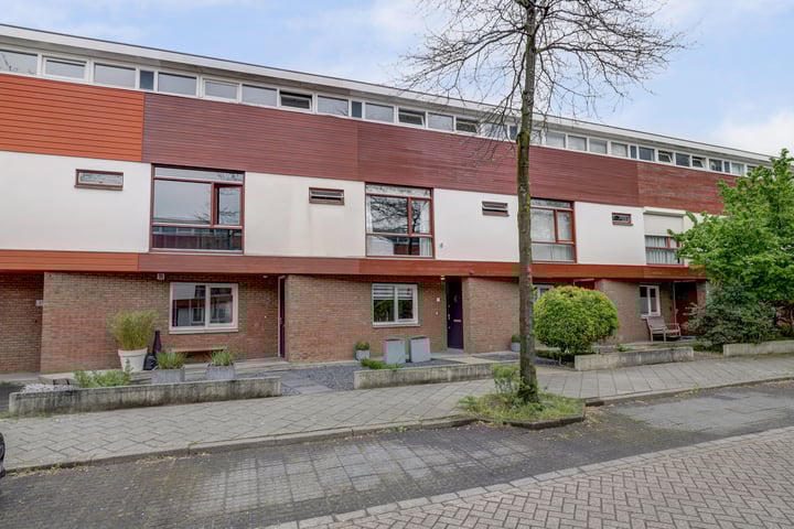 Schouw 7