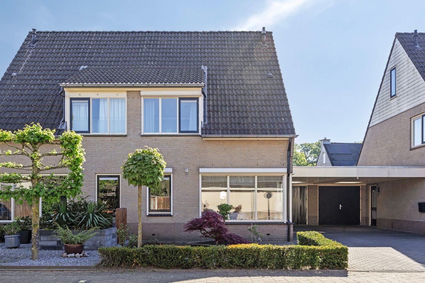 Foto 5 van Duizendblad 6