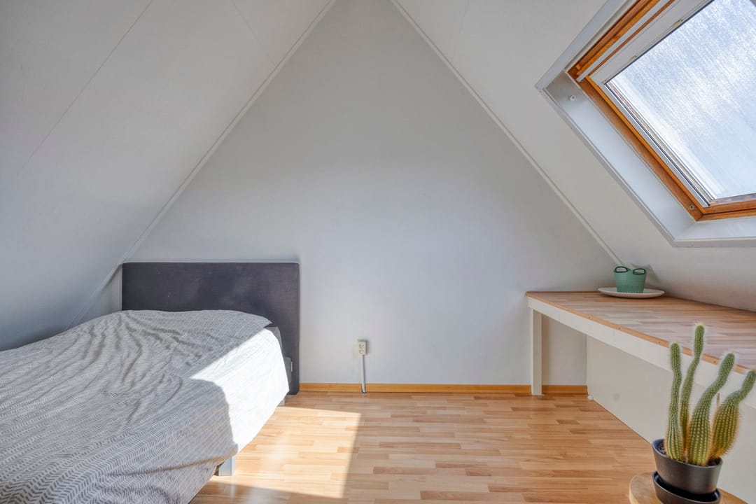 Foto 26 van Duizendblad 6