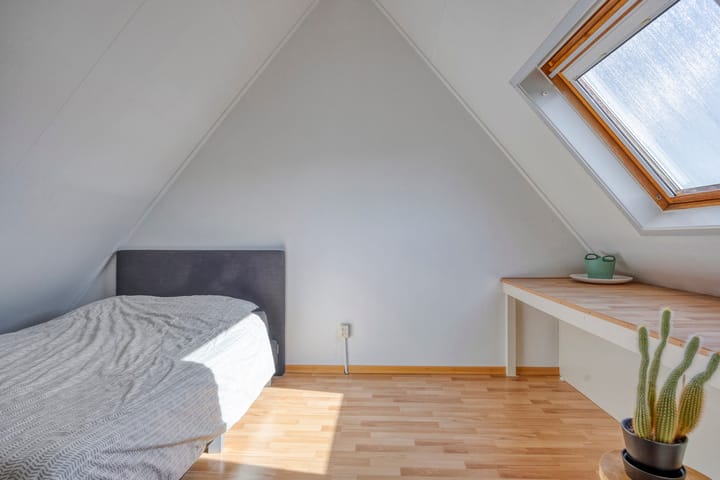 Photo 26 of Duizendblad 6