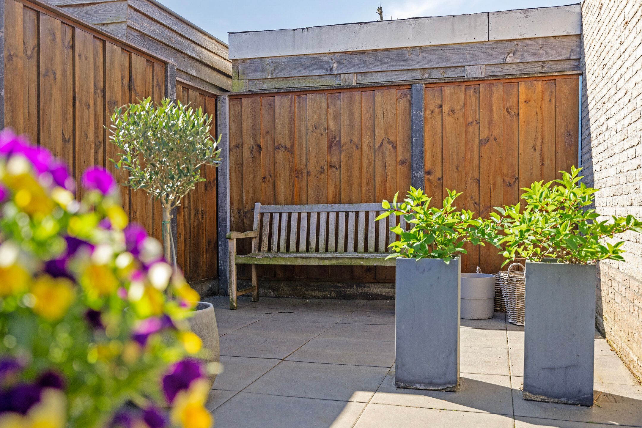 Foto 30 van Duizendblad 6