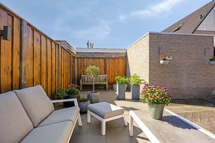 Photo 32 of Duizendblad 6