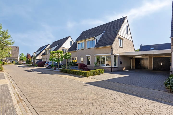 Photo 34 of Duizendblad 6