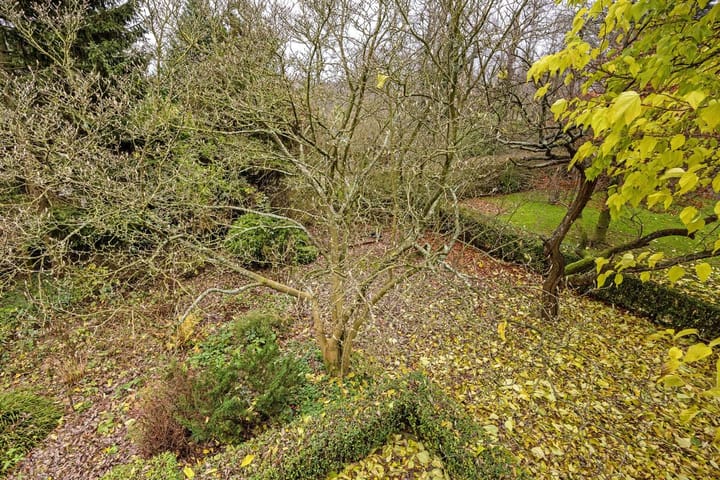 Foto 35 van Pendrechtseweg 6