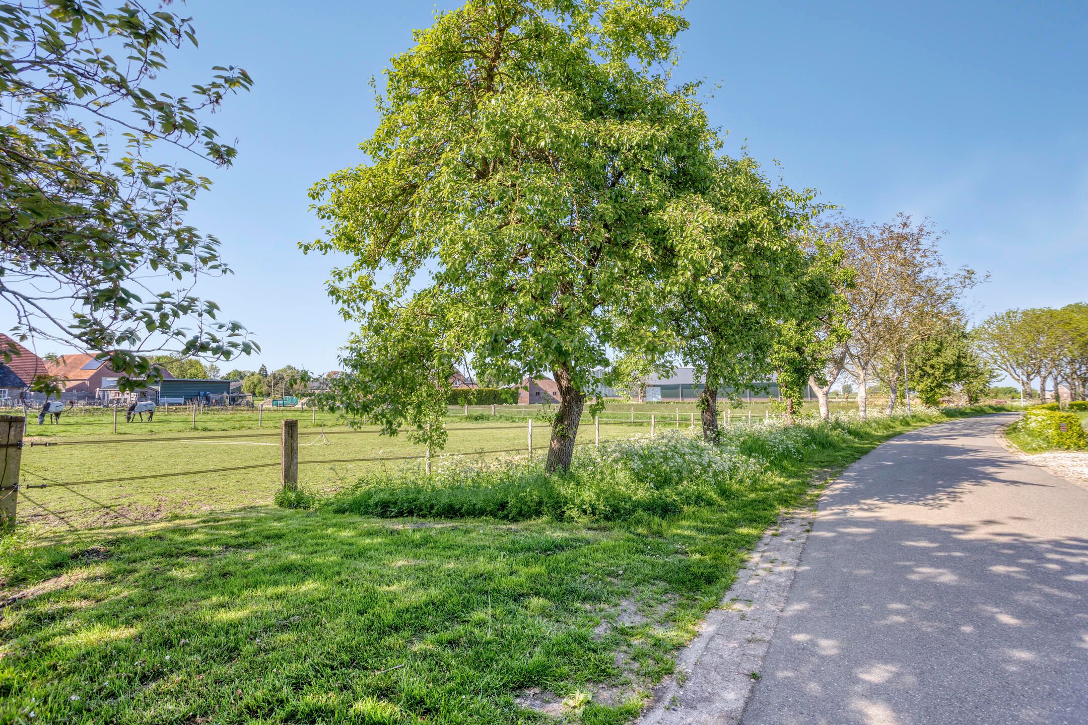 Foto 42 van Luttelherptseweg 1-A
