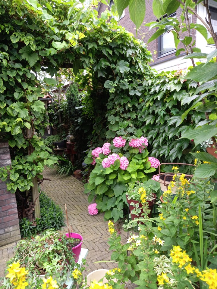 Foto 15 van Watermunt 61