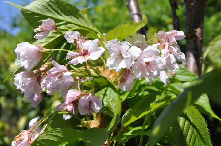 Foto 16 van Watermunt 61