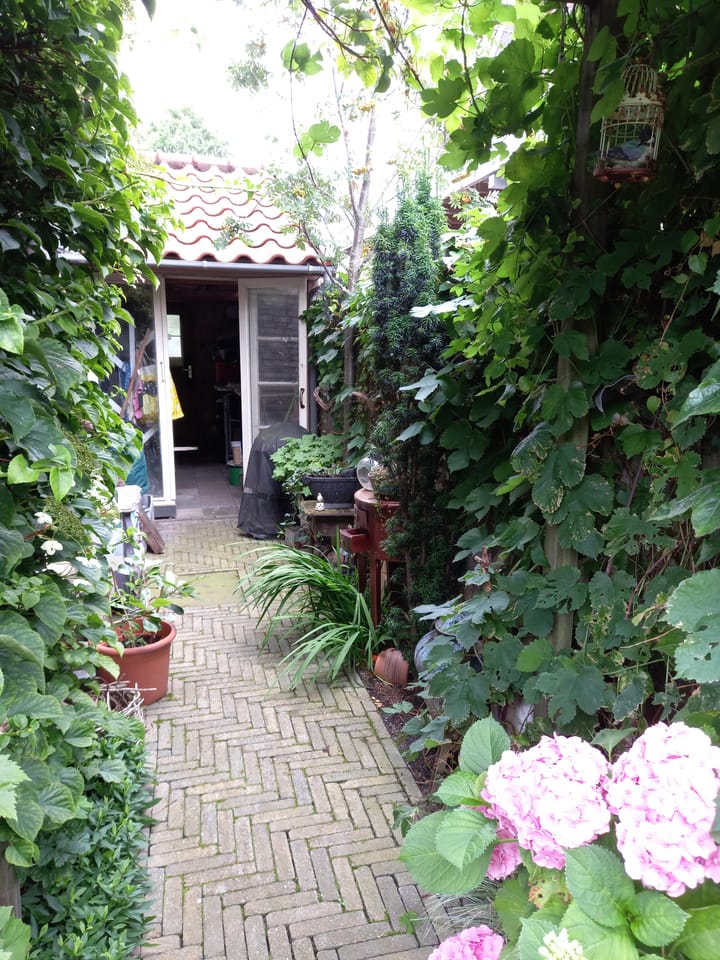 Foto 17 van Watermunt 61