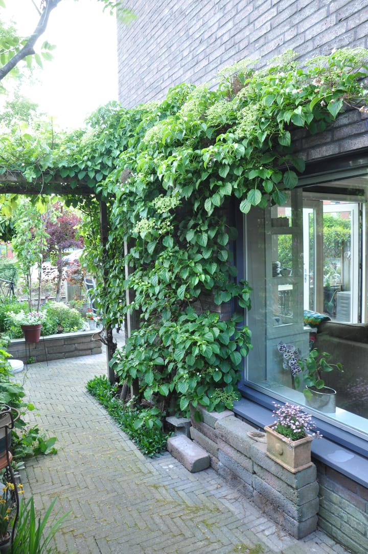 Foto 23 van Watermunt 61