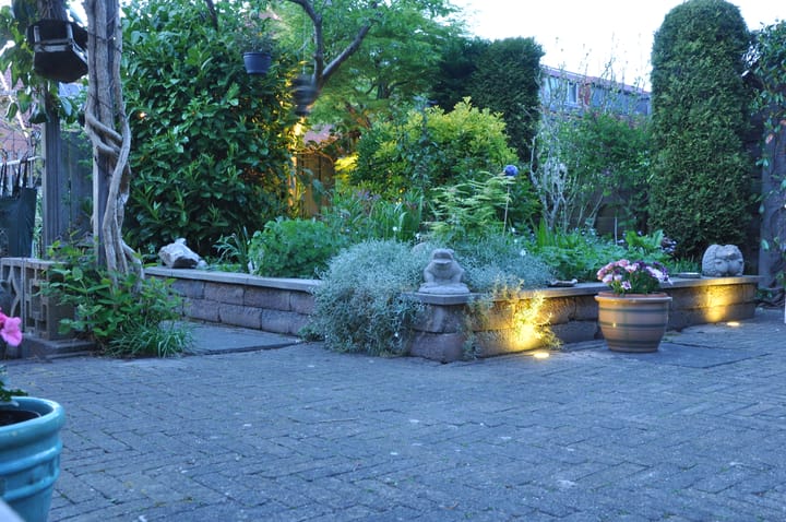 Foto 51 van Watermunt 61