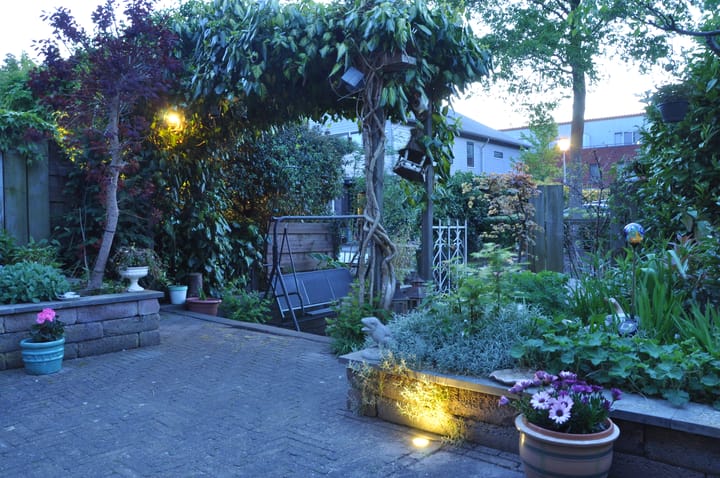 Foto 52 van Watermunt 61