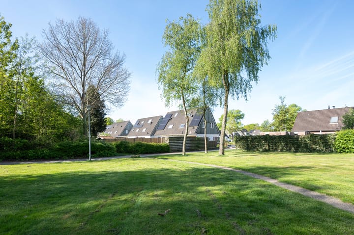 Foto 34 van Kuifmees 23