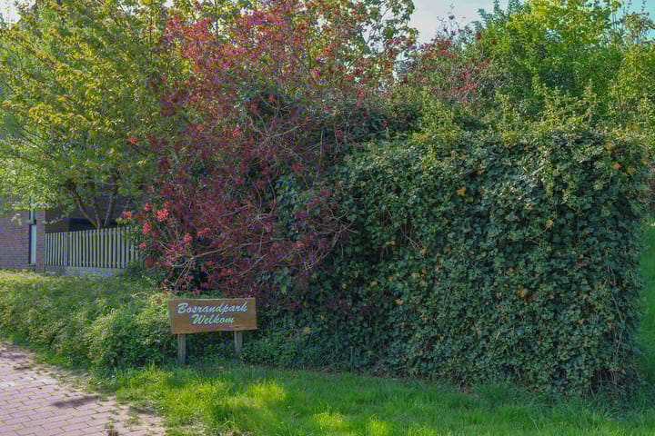 Foto 57 van Zondaghof 17