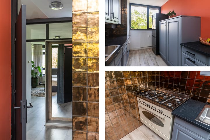 Foto 16 van Roland Holstlaan 978