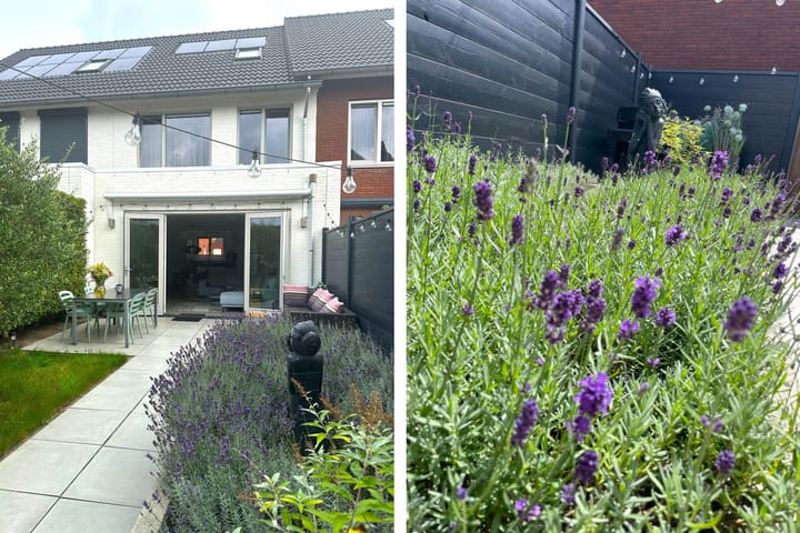 Foto 34 van Limes 77