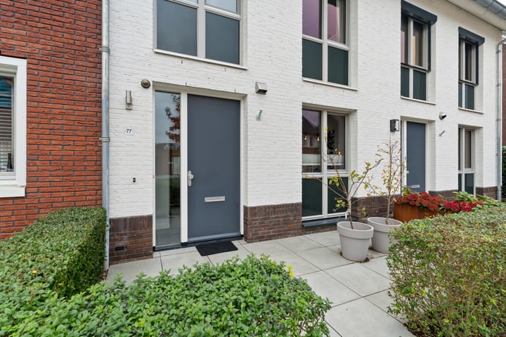 Foto 40 van Limes 77