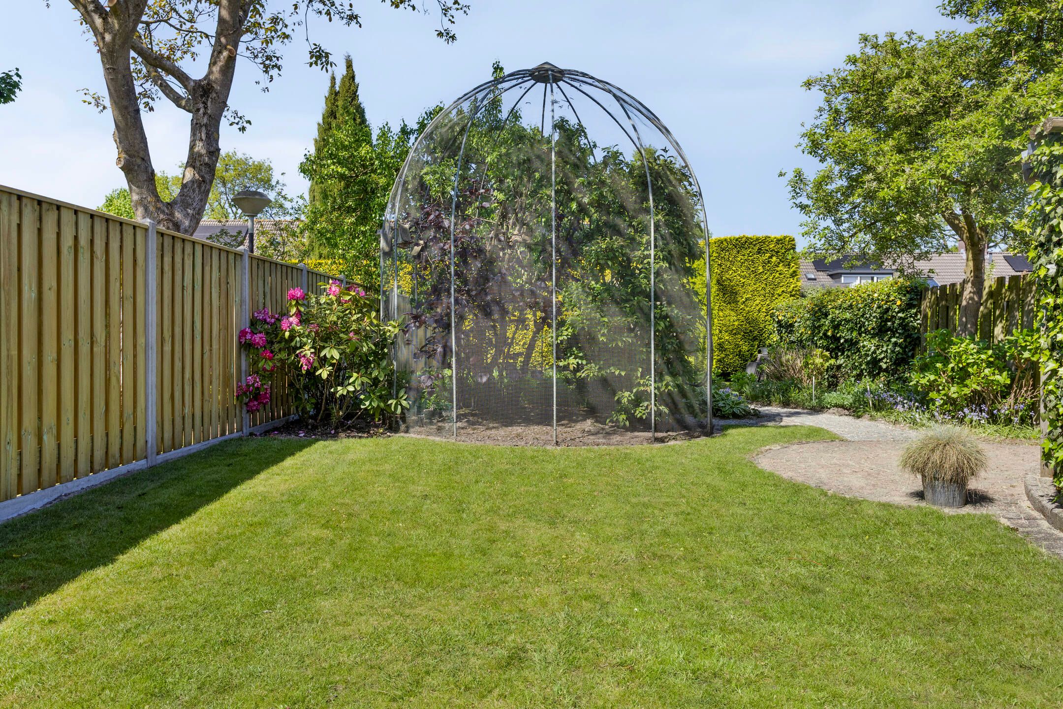 Foto 54 van Rijnstraat 42