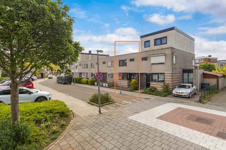 Mahonie 258