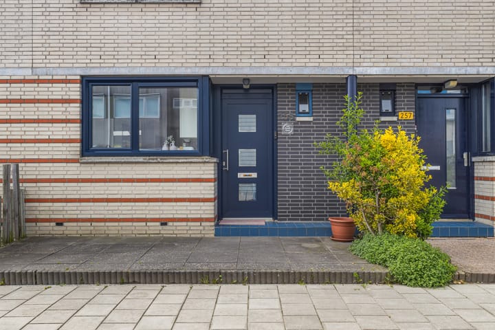 Foto 7 van Mahonie 258