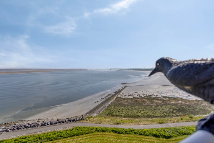 Photo 31 of Port Scaldis 21-071