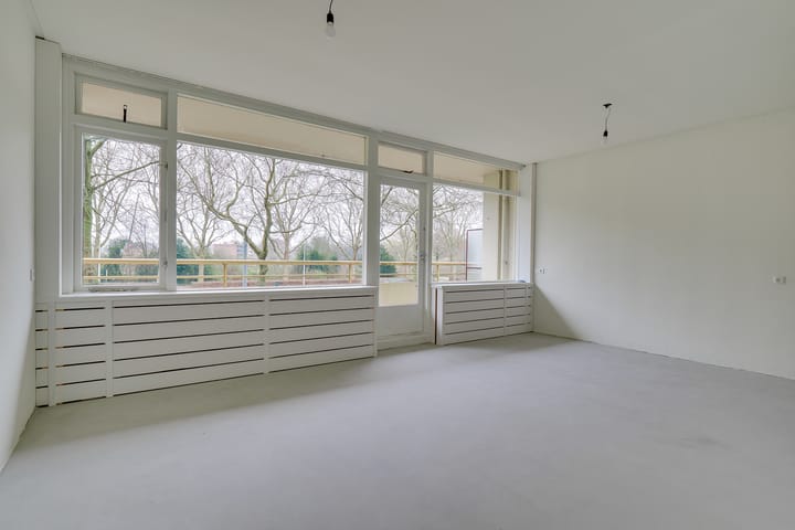 Foto 3 van Livingstonelaan 126