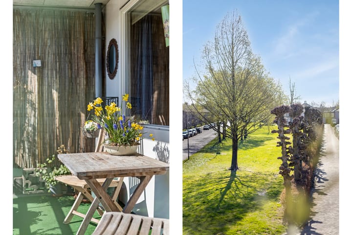 Foto 22 van Thorbeckeplein 4-D