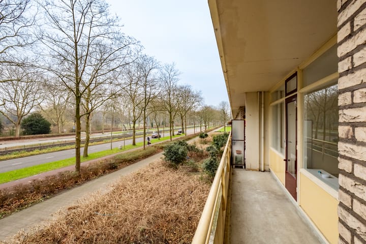 Foto 22 van Livingstonelaan 126