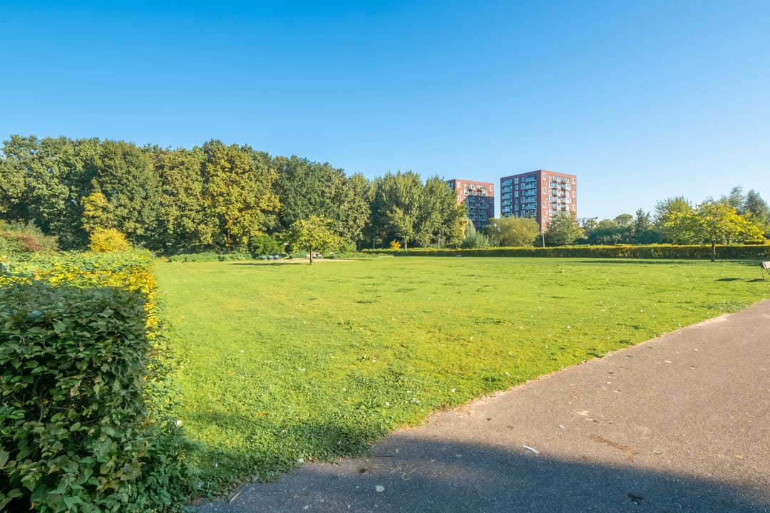 Photo 23 of Livingstonelaan 126