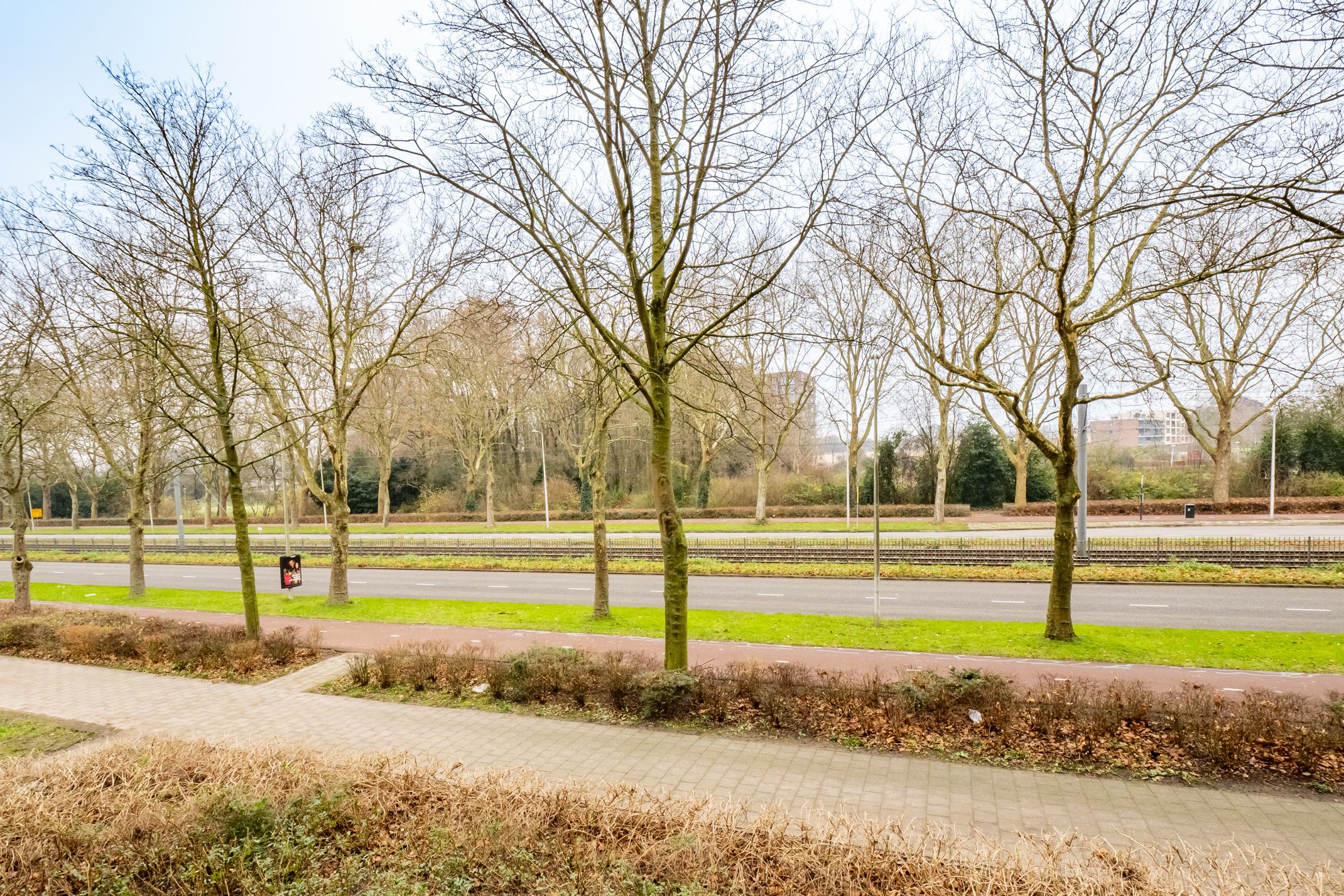 Photo 24 of Livingstonelaan 126