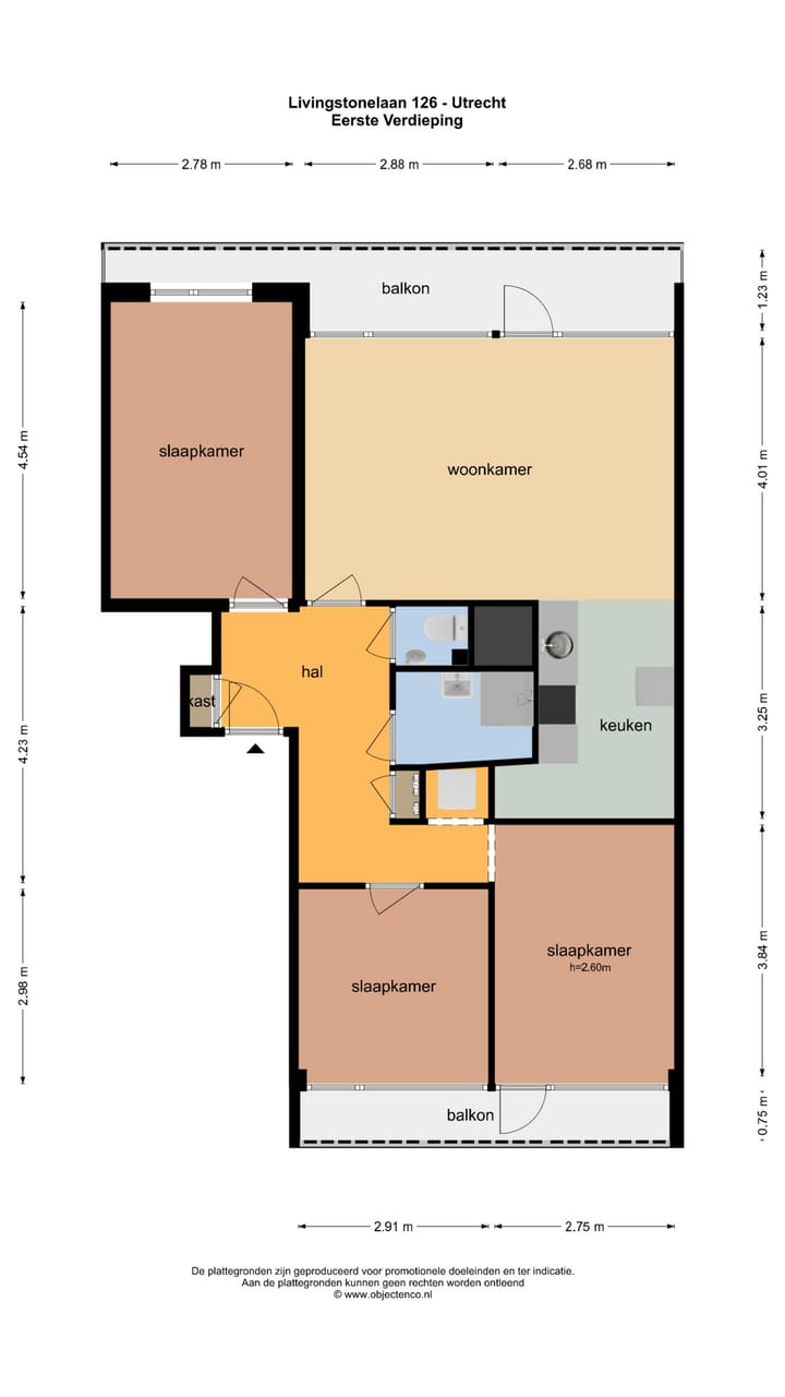 Foto 27 van Livingstonelaan 126