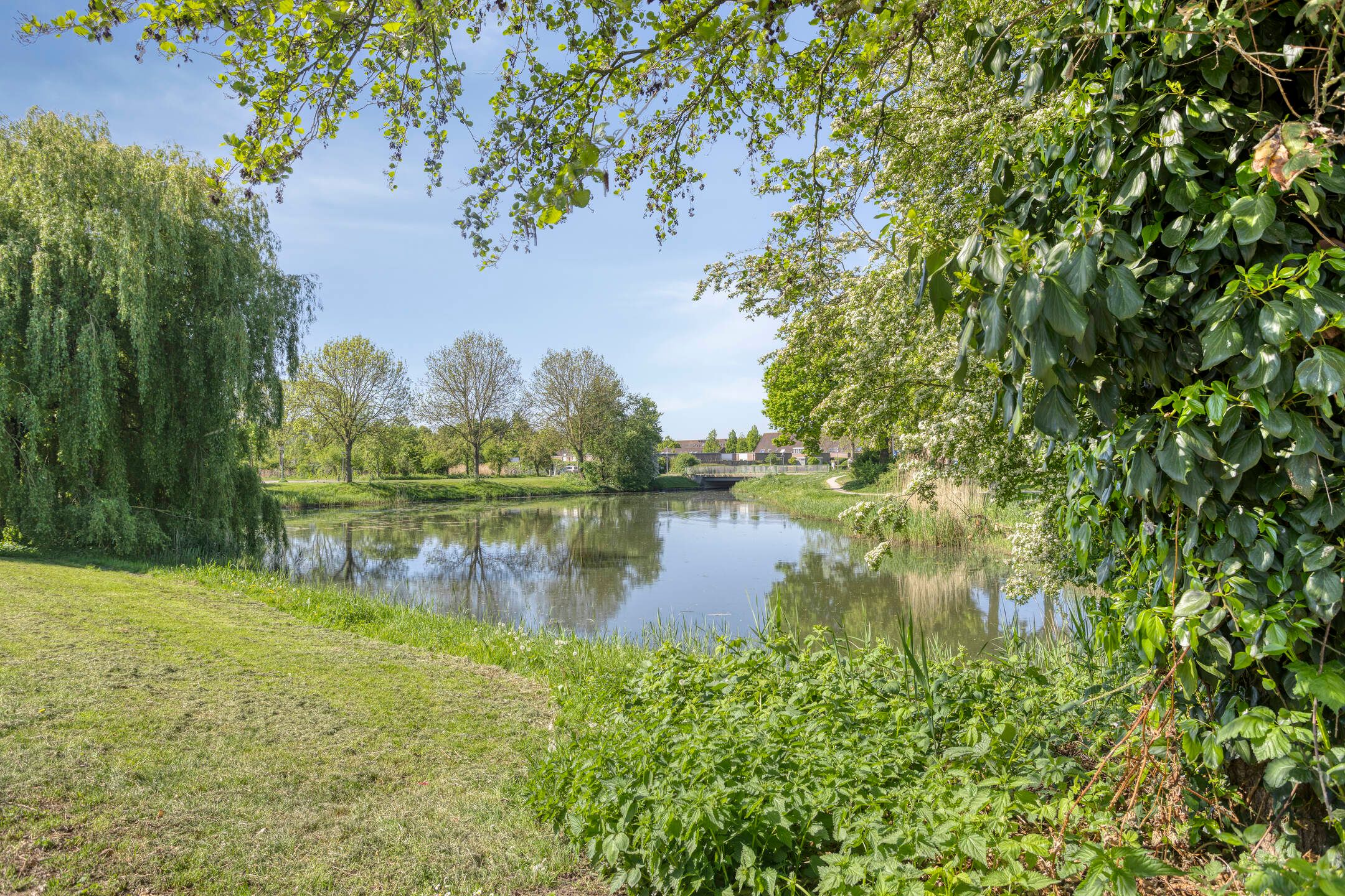 Foto 27 van Tjalk 38 46