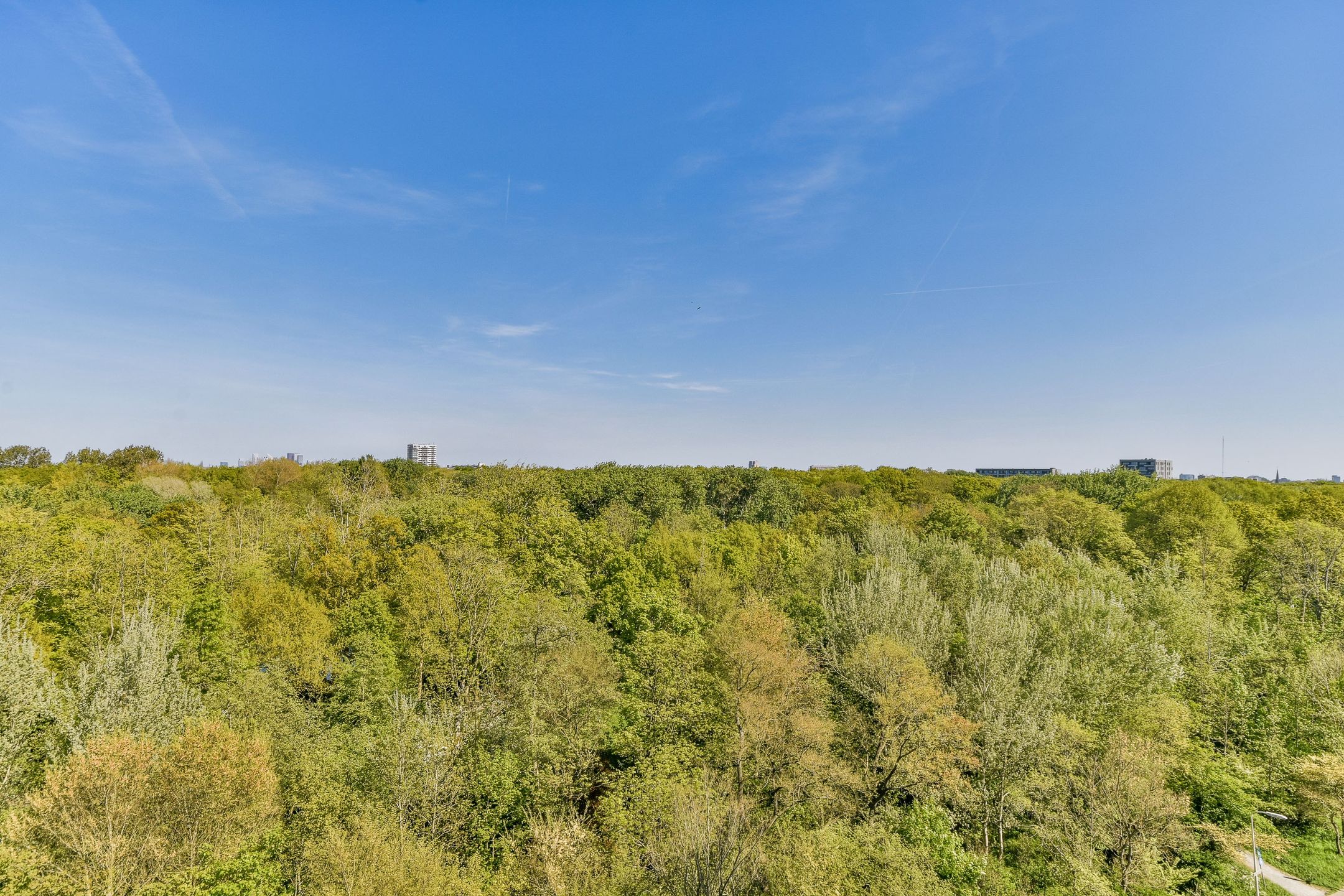 Foto 21 van Heliotrooplaan 358-K