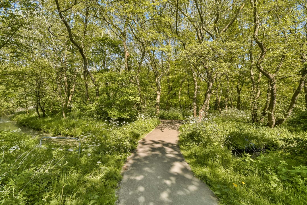 Foto 22 van Heliotrooplaan 358-K