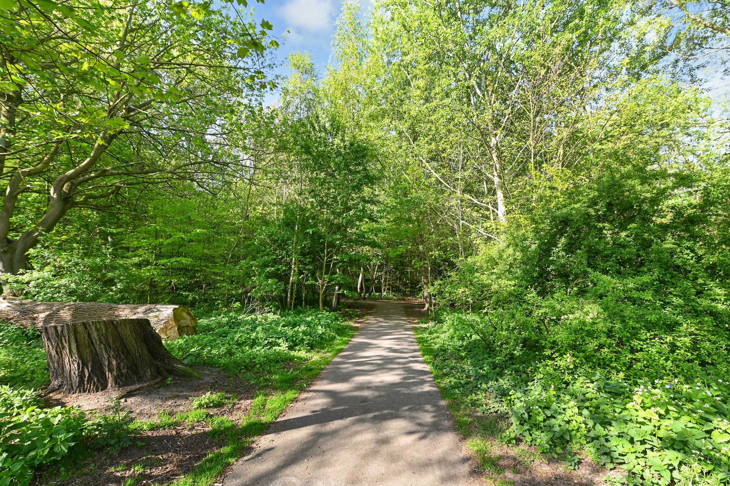 Photo 34 of Muurbloemweg 77